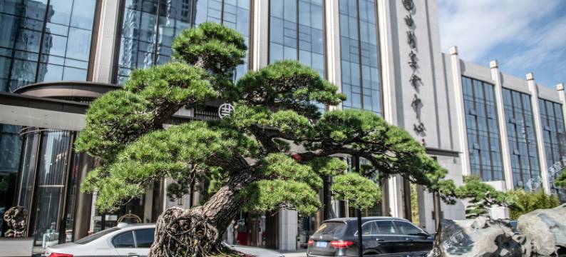 衡阳曲园竹苑酒店图片