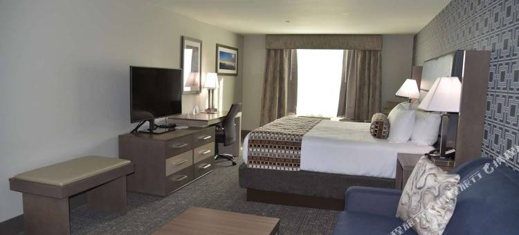 拉斯维加斯西贝斯特韦斯特优质酒店(Best Western Plus Las Vegas West)图片