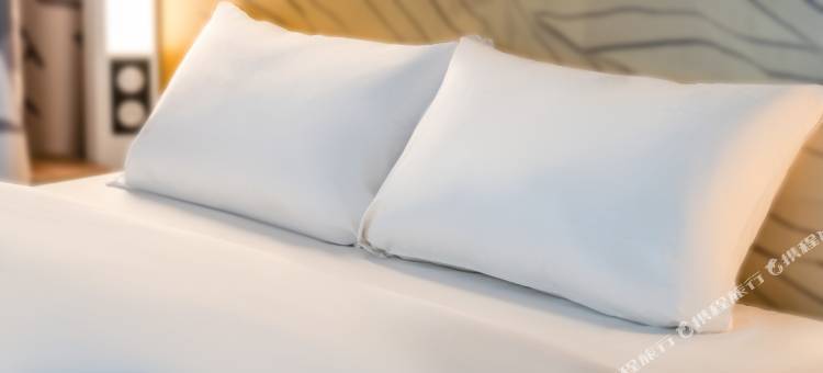 民宿酒店阿拉斯中心莱斯广场(B&B Hotel Arras Centre les Places)图片