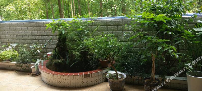 高县新鑫旅馆图片