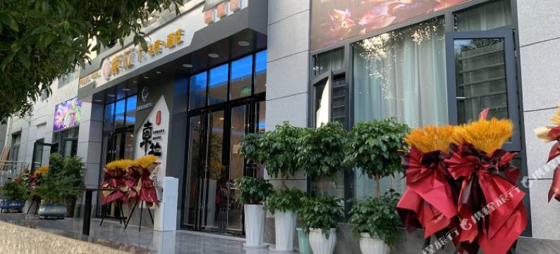 索拉卡酒店图片