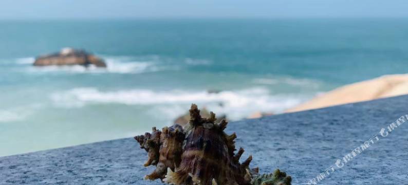 舟山东极海屿羊舍民宿(东福山码头店)图片