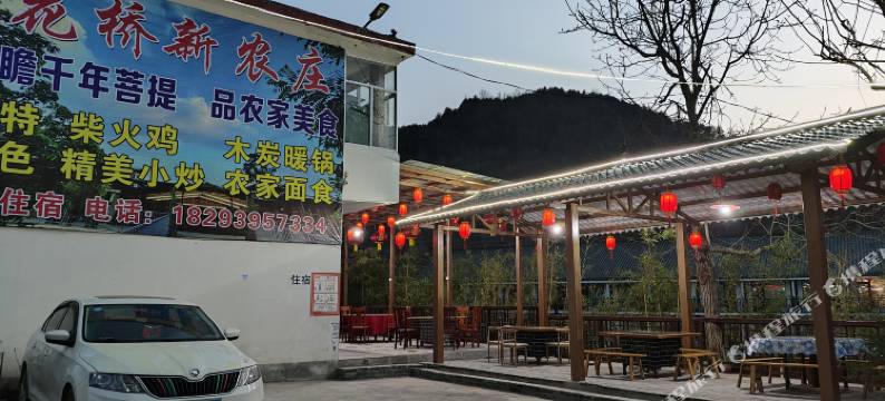 康县美丽花桥新农庄图片