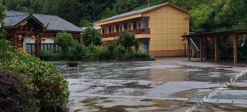 安康正义生态茶庄园图片