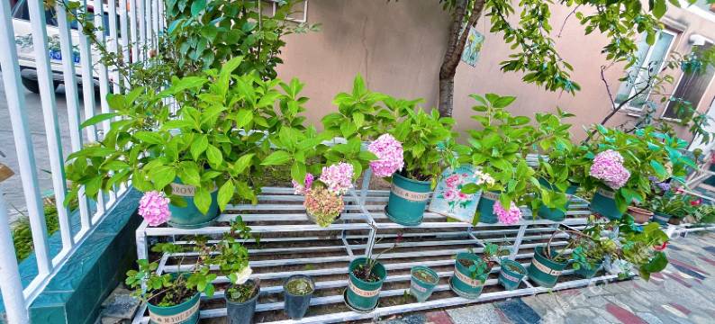 林芝越居凡尘客栈图片