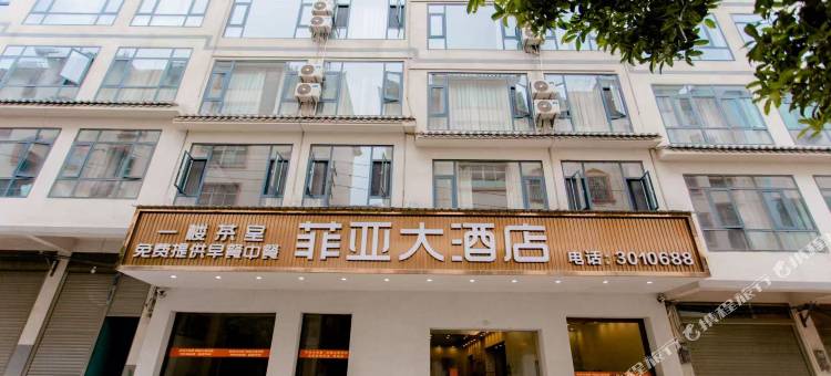 菲亚大酒店图片