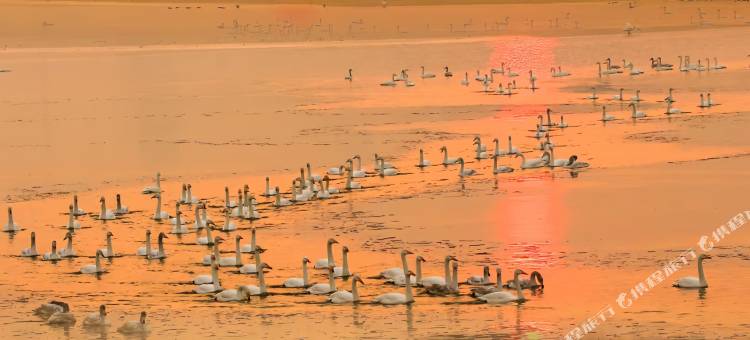 OneDay设计师酒店图片