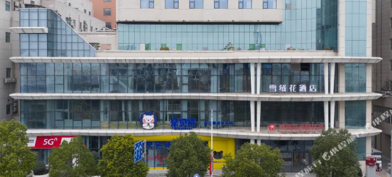 雪绒花酒店(驻马店站第二中医院店)图片