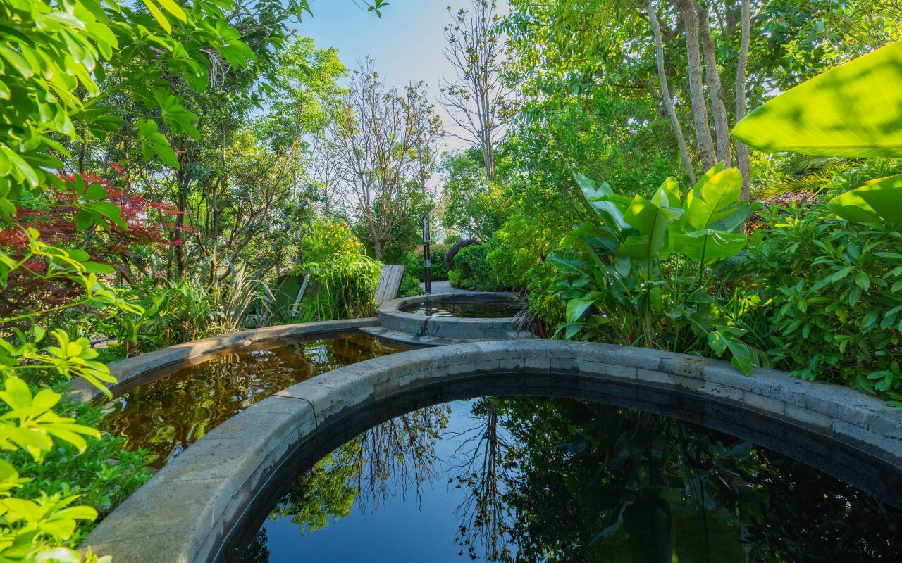 禄丰世界恐龙谷温泉酒店图片