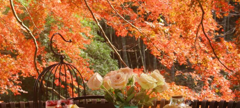 莫干山枫鹃谷忘山别墅图片