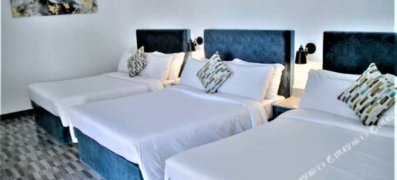 拉普拉亚埃斯特雷亚海滩度假村(La Playa Estrella Beach Resort)图片