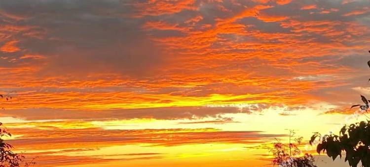 天台山观山海萤火虫民宿图片