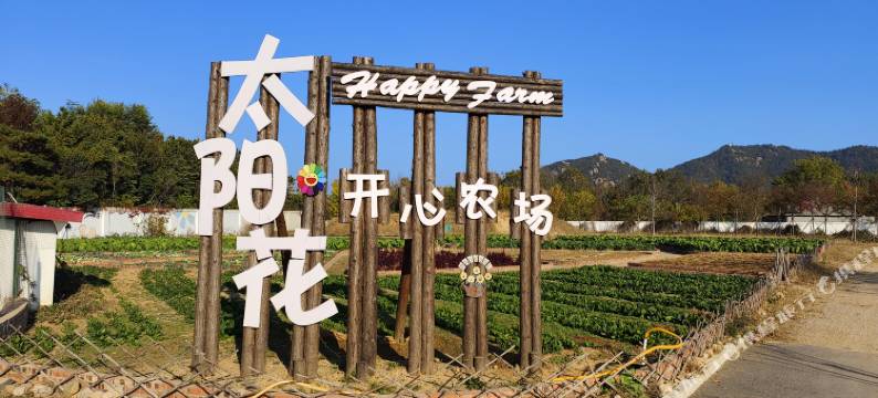 中联太阳花度假酒店(崂山风景区店)图片