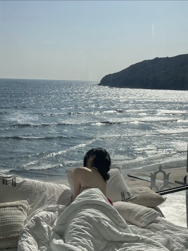 Bushe Seaview InnOver view