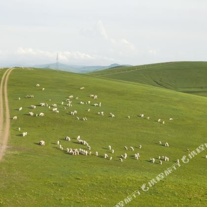 避暑山庄+木兰围场+塞罕坝+乌兰布统草原3日2晚自由行