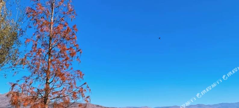 大理随意宅·观山休闲民宿(祟圣寺三塔店)图片