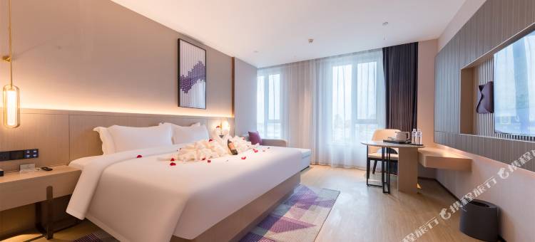 麗枫酒店(平原共青团北路店)图片