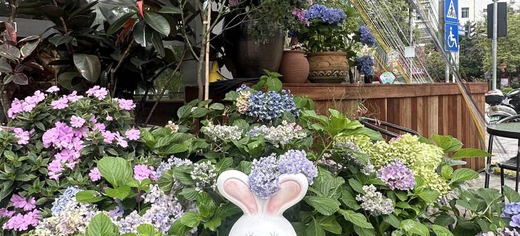 四季花园酒店图片