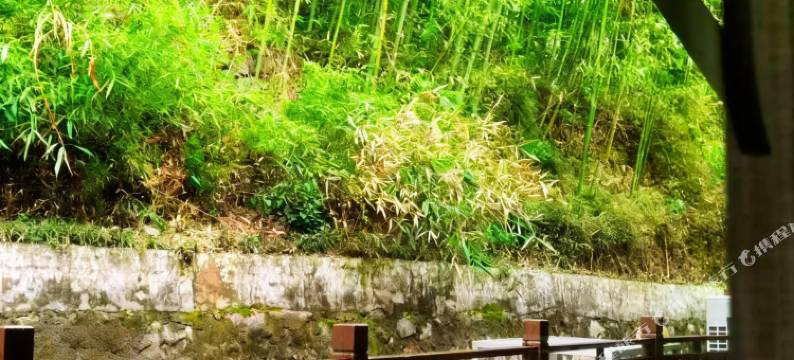 听溪·云宿图片