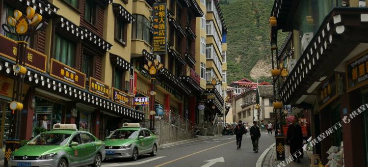 新龙新粮大酒店图片