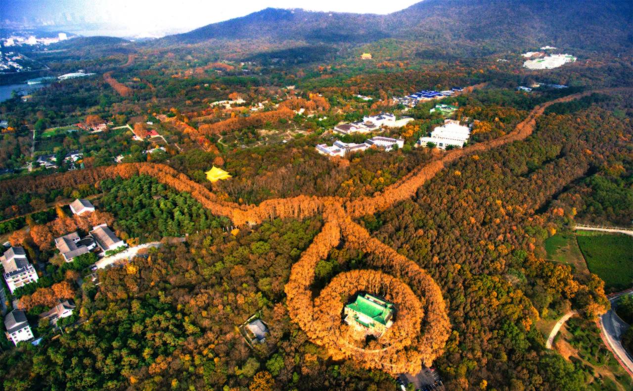 南京洲际酒店图片