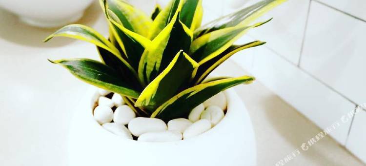 Favehotel Prabumulih图片