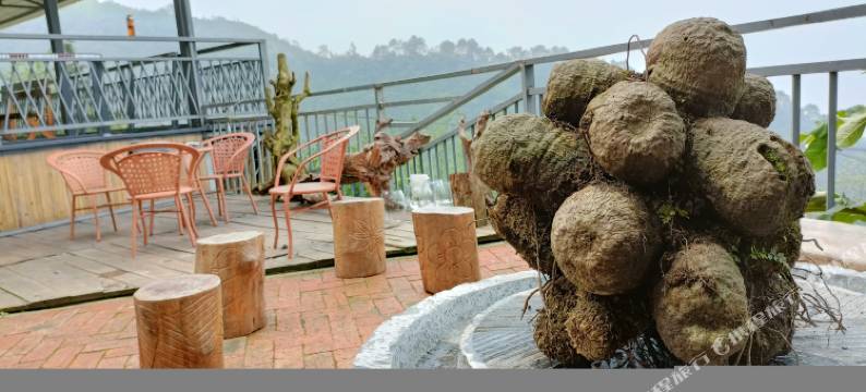 上林陌野六毛杨舍图片