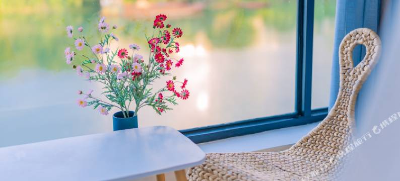 东江湖左岸民宿(黄草镇金牛岛店)图片