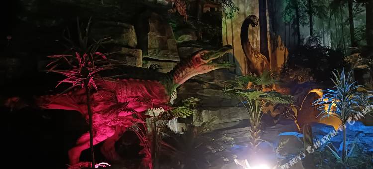 飞龙堡度假酒店图片