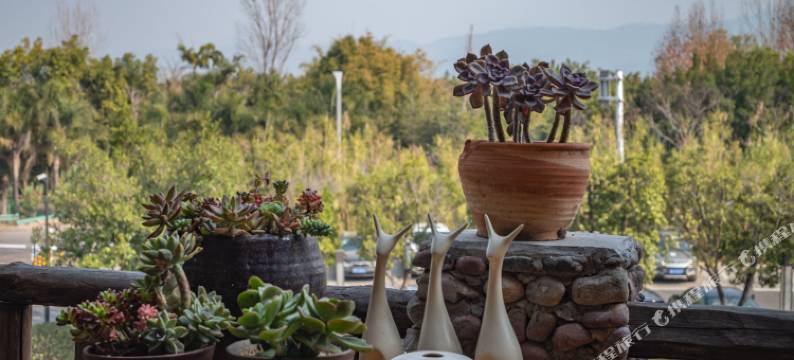 西昌沐童精品民宿(灵鹰寺店)图片