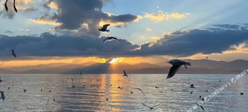 大理梓炀小院·设计师度假民宿(古城南门店)图片