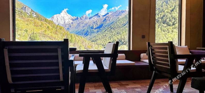 四姑娘山绿绒蒿MECONOPSIS金山庄园图片