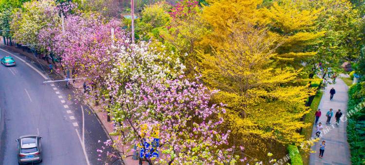 广州中国大酒店图片
