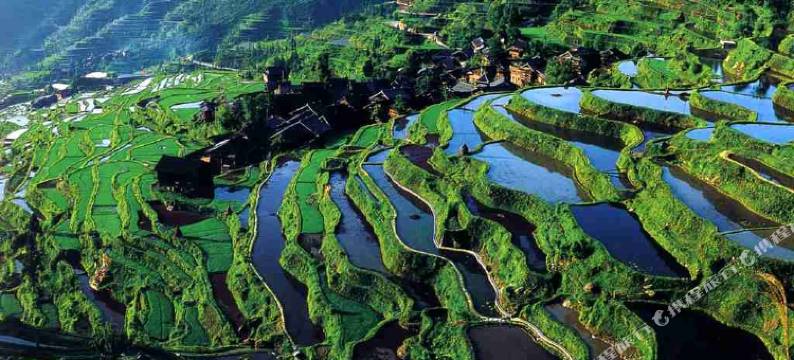 肇兴故事酒店(肇兴侗寨观景台店)图片