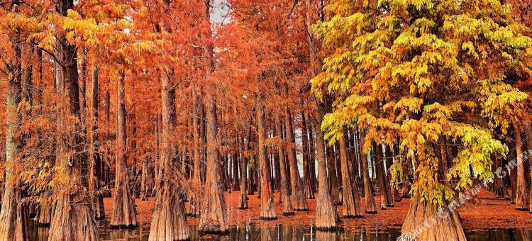 麗枫酒店(肇庆七星岩风景区益华国际广场店)图片
