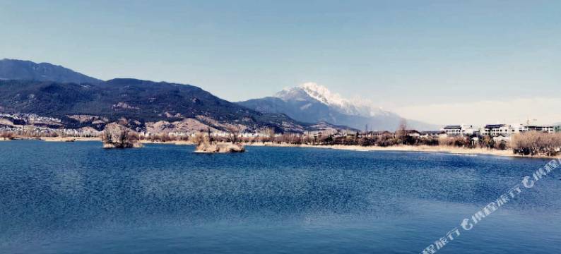 丽江自由生长艺术客栈图片