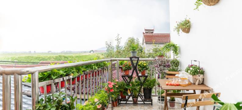 美之林酒店(南京禄口国际机场店)图片