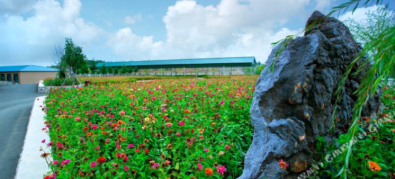 长春雪驰山旅游民宿图片