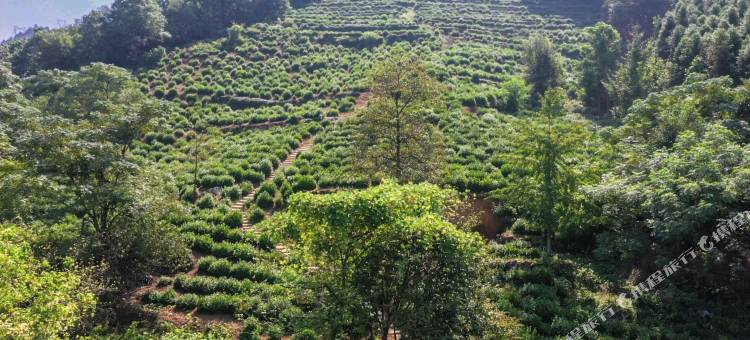泾县观潭居民宿(桃花潭风景区店)图片