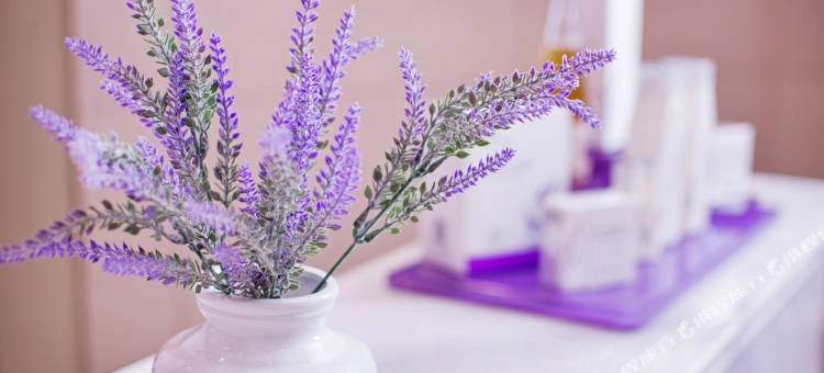 麗枫酒店(西安钟楼地铁站回民街店)图片