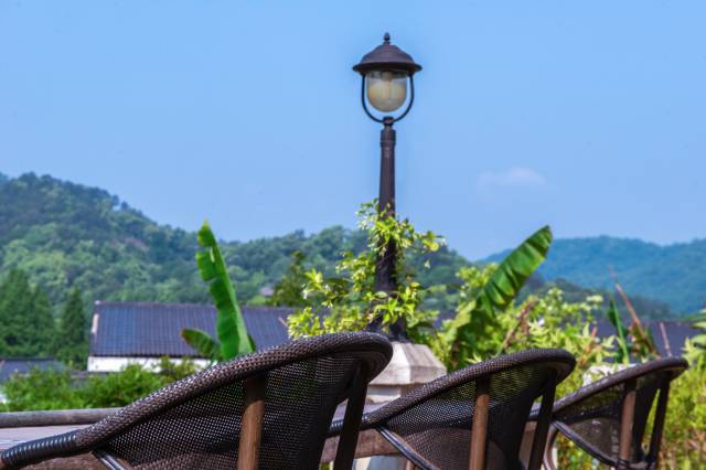 杭州西湖茶香丽舍民宿(太子湾店)图片