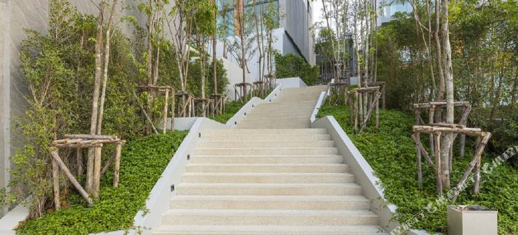 Panora Surin by Holy Cow 513图片