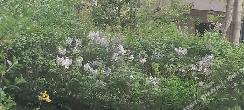 定西爱馨家园公寓图片