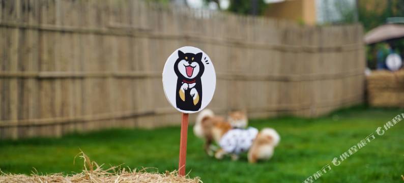 大邑千里走单骑·大地之眼民宿图片