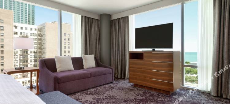 Homewood Suites by Hilton-芝加哥市中心南环区(Homewood Suites by Hilton Chicago Downtown South Loop)图片