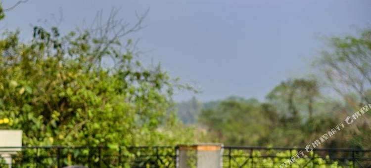 里弗伍德森林休闲酒店-杜阿尔斯(The Riverwood Forest Retreat Dooars - Fully Vaccinated Staff)图片