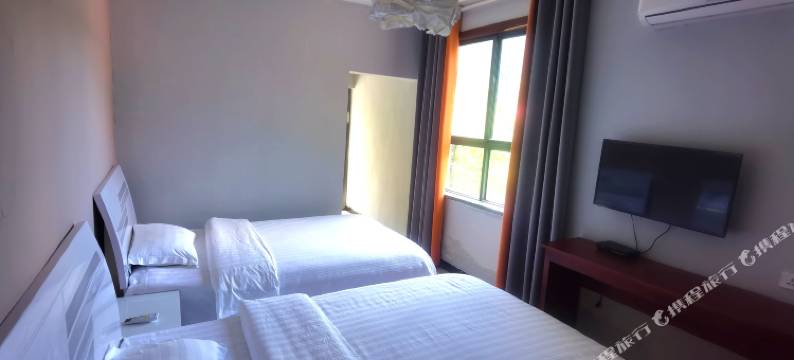 一朵牡丹小院图片