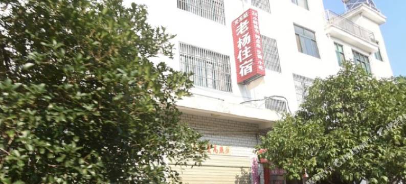 老杨住宿图片