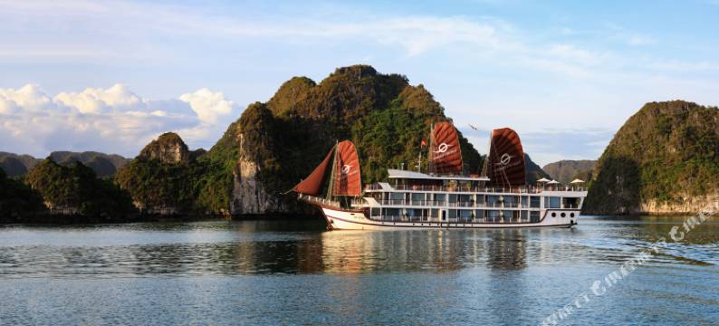 V'Spirit Cruises图片