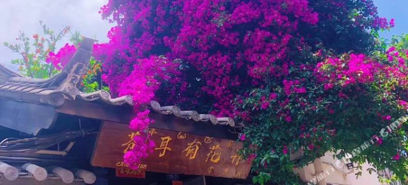 苍耳有花开民宿(丽江古城店)图片